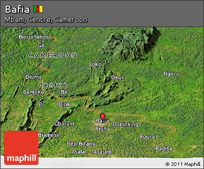 Satellite Panoramic Map of Bafia