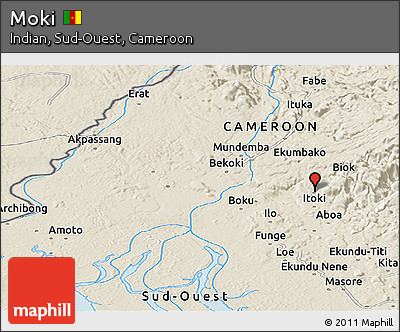 Shaded Relief Panoramic Map of Moki