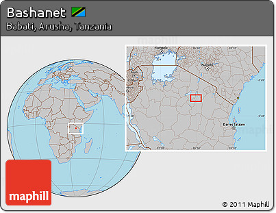 Gray Location Map of Bashanet