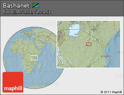 Savanna Style Location Map of Bashanet, hill shading