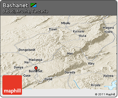 Shaded Relief Panoramic Map of Bashanet