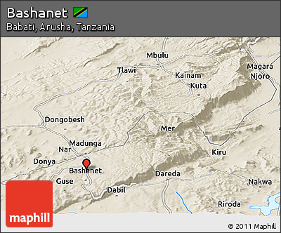 Shaded Relief Panoramic Map of Bashanet