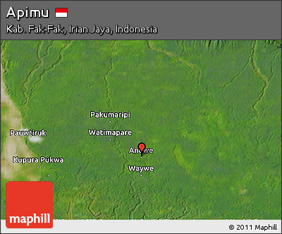 Satellite 3D Map of Apimu