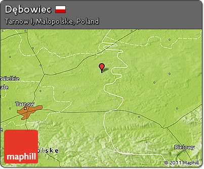 Physical 3D Map of Dębowiec