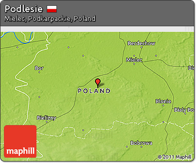 Physical 3D Map of Podlesie