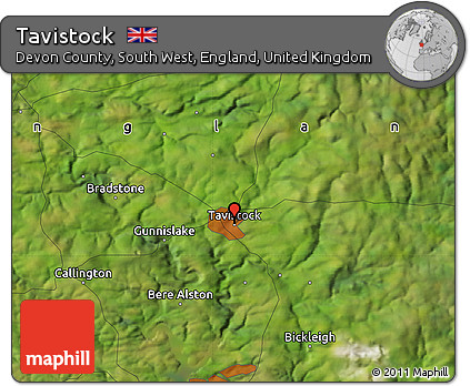 Satellite Map of Tavistock