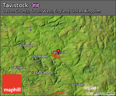 Satellite Map of Tavistock