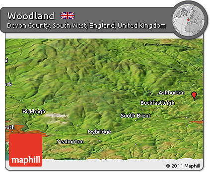 Satellite Panoramic Map of Woodland