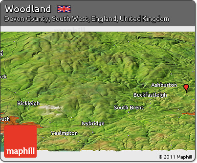 Satellite Panoramic Map of Woodland
