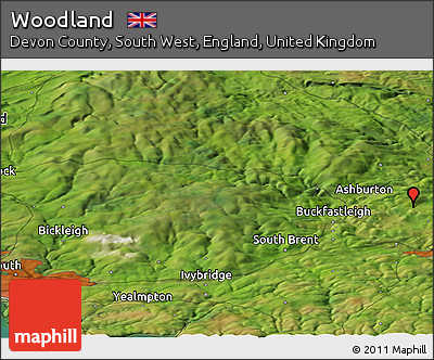 Satellite Panoramic Map of Woodland
