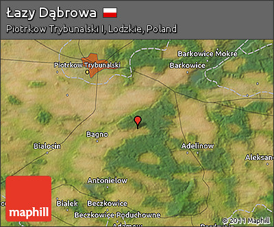 Satellite 3D Map of Łazy Dąbrowa