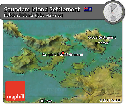 Satellite Map of Saunders Island Settlement