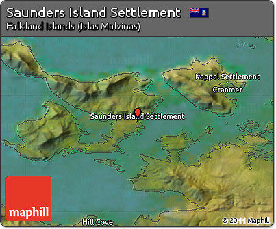 Satellite Map of Saunders Island Settlement