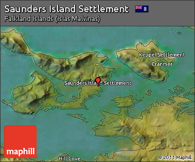 Satellite Map of Saunders Island Settlement