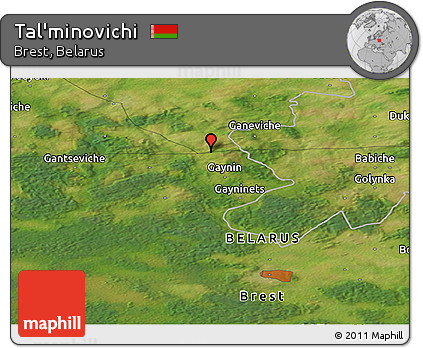 Satellite Panoramic Map of Tal'minovichi