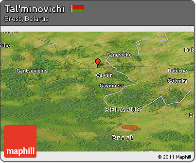 Satellite Panoramic Map of Tal'minovichi