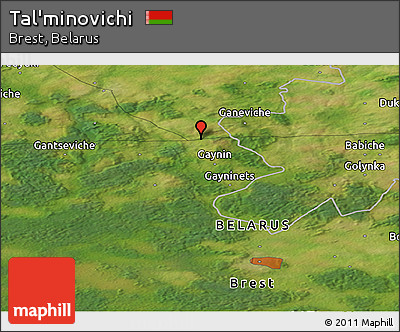 Satellite Panoramic Map of Tal'minovichi