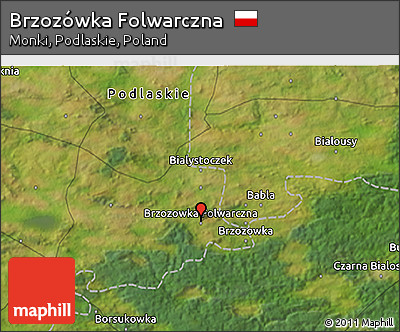 Satellite 3D Map of Brzozówka Folwarczna