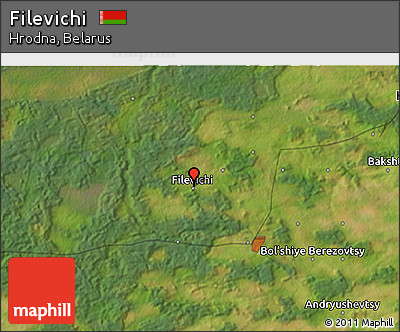 Satellite 3D Map of Filevichi