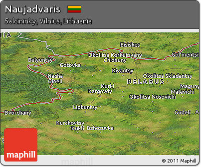 Satellite Panoramic Map of Naujadvaris