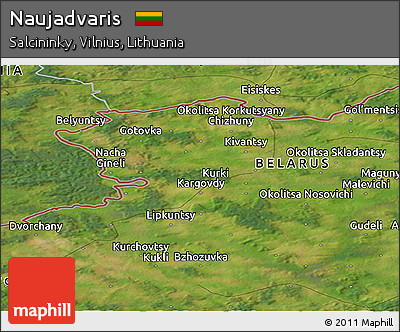 Satellite Panoramic Map of Naujadvaris