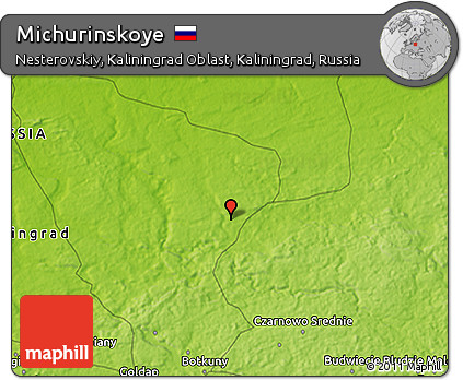Physical 3D Map of Michurinskoye