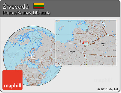 Gray Location Map of Živavodė