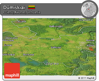 Satellite Panoramic Map of Dūmiškiai
