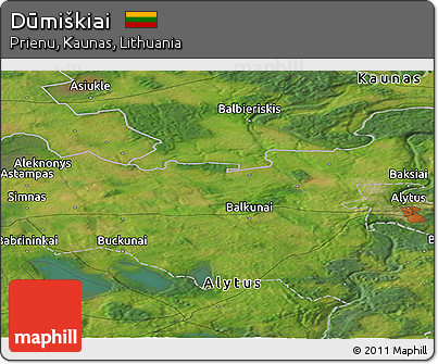 Satellite Panoramic Map of Dūmiškiai
