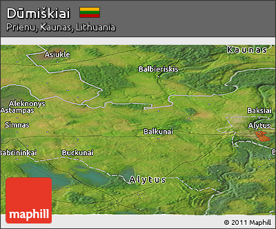 Satellite Panoramic Map of Dūmiškiai
