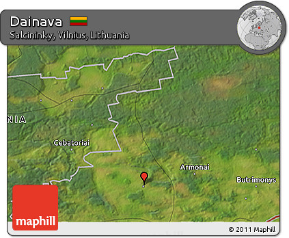 Satellite 3D Map of Dainava