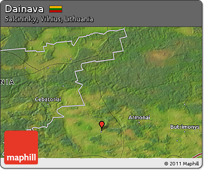 Satellite 3D Map of Dainava