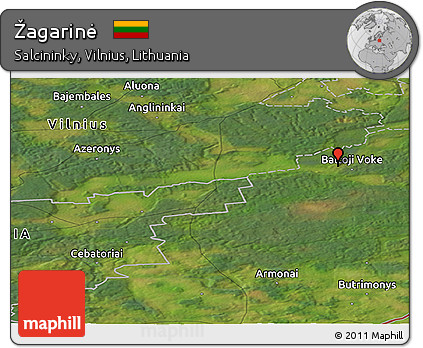 Satellite Panoramic Map of Žagarinė