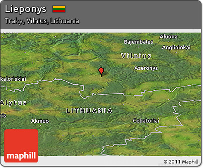 Satellite Panoramic Map of Lieponys