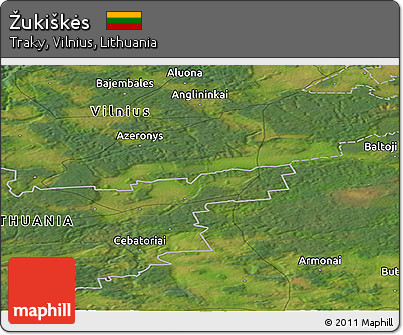 Satellite Panoramic Map of Žukiškės