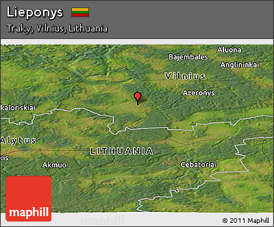 Satellite Panoramic Map of Lieponys