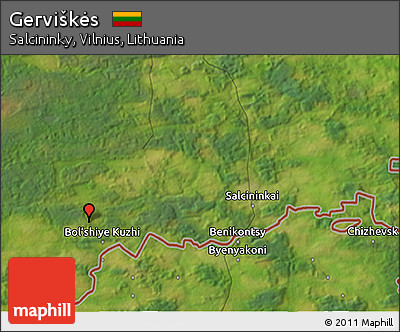 Satellite 3D Map of Gerviškės