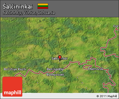Satellite 3D Map of Šalčininkai