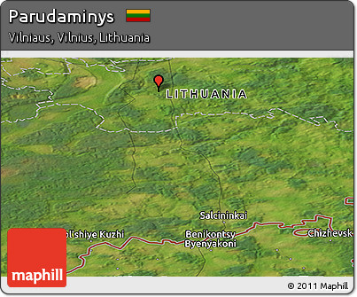 Satellite Panoramic Map of Parudaminys