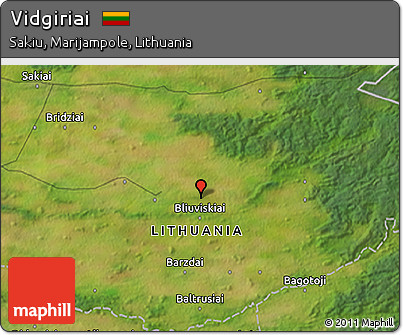 Satellite 3D Map of Vidgiriai