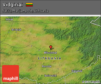 Satellite 3D Map of Vidgiriai
