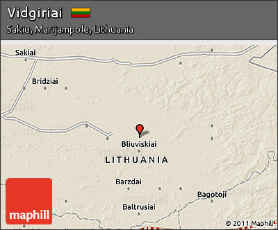 Shaded Relief 3D Map of Vidgiriai