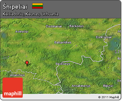 Satellite 3D Map of Šnipeliai