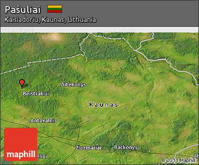 Satellite 3D Map of Pašuliai