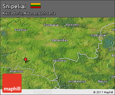 Satellite 3D Map of Šnipeliai