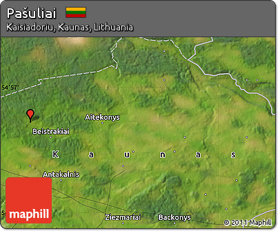 Satellite Map of Pašuliai