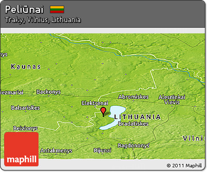 Physical Panoramic Map of Peliūnai