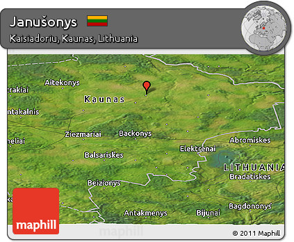 Satellite Panoramic Map of Janušonys