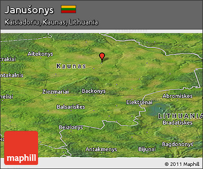 Satellite Panoramic Map of Janušonys