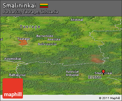 Satellite Panoramic Map of Smalininkai